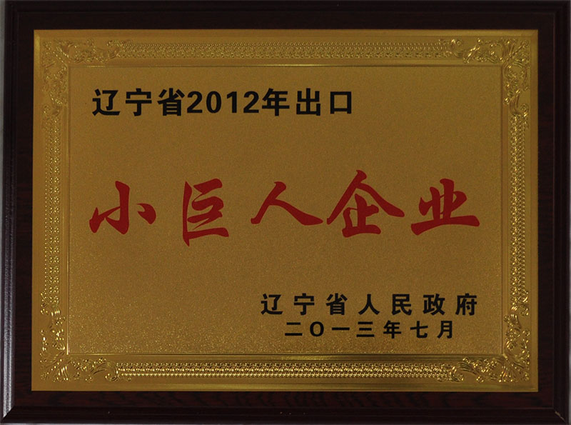 小巨人企业
