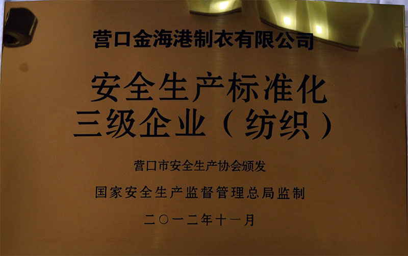 安全生产标准化三级企业