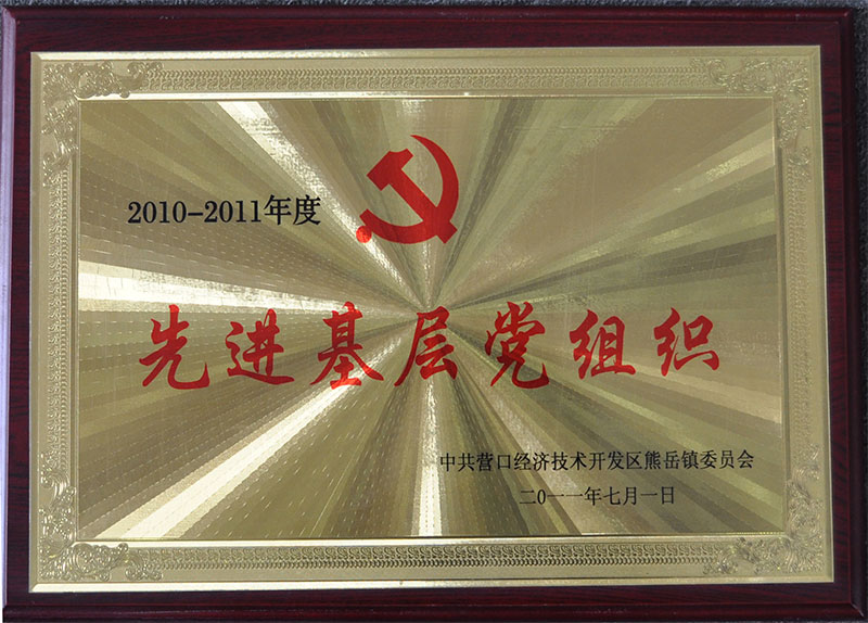 2011年先进基层党组织
